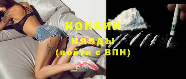 ECSTASY Алзамай